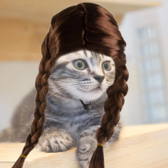 6 Pcs Funny Cat Braid Wig