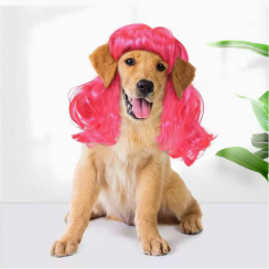 5 Packs Simple Style Polyester Solid Color Pet Wig