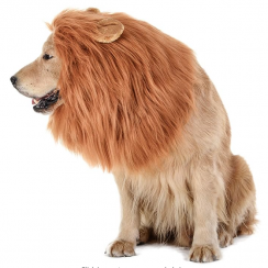 10 Packs Realistic Funny Lion Mane Costumes for Medium to Large Sized Dogs