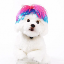 65 Pcs High Temperature Wire Colorful Headdress for Dogs